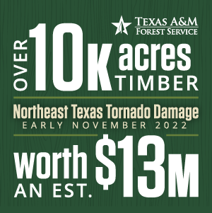 A series of tornadoes that struck Northeast Texas in early November damaged timber on more than 10,000 acres. The timber was worth an estimated $13 million.